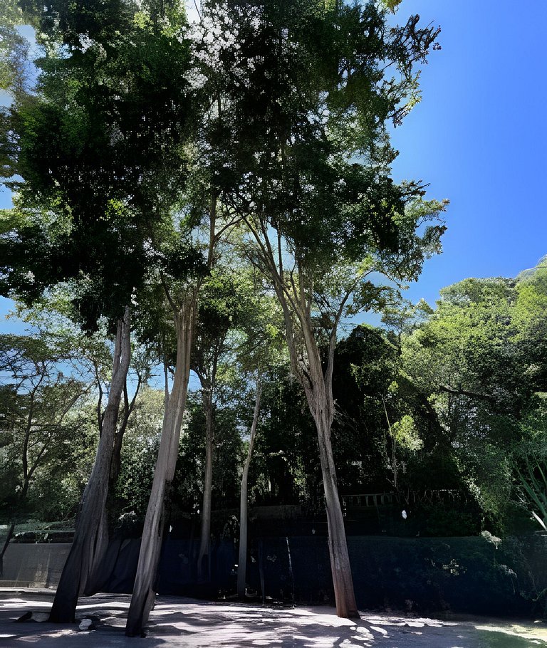 Casa com 4 suítes, piscina e sauna em Bonito - MS