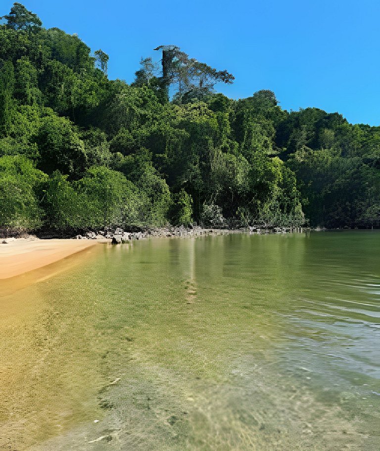 Paraíso em Angra: piscina & praia exclusiva